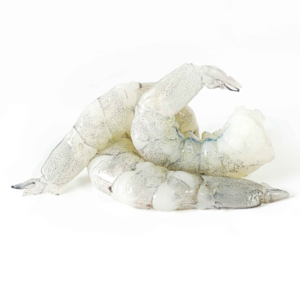VANNAMEI SHRIMP