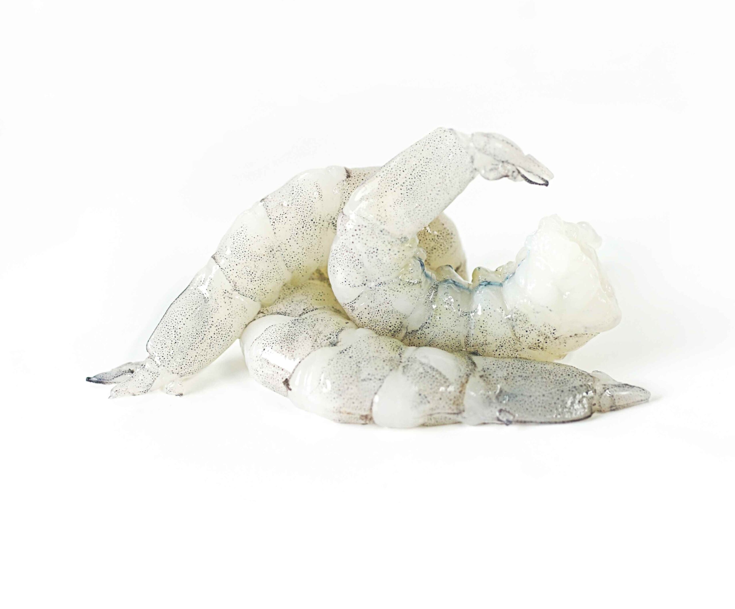VANNAMEI SHRIMP